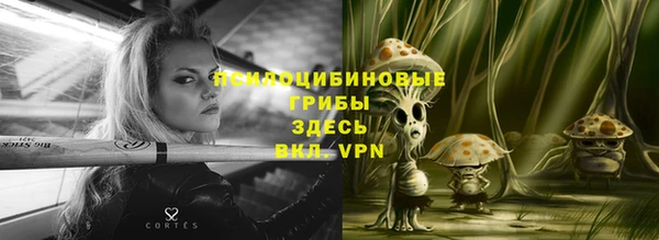 бошки Нягань