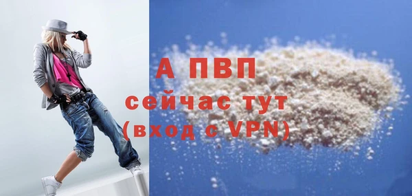 ешки Няндома