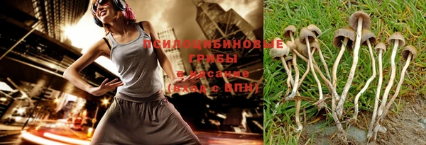 ешки Няндома