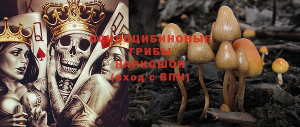 ешки Няндома