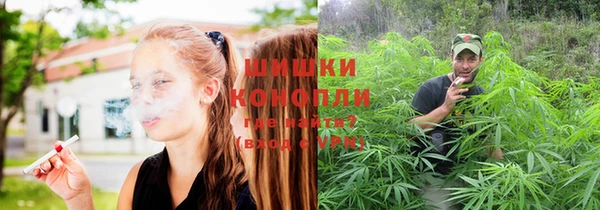 бошки Нягань