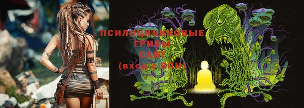 ешки Няндома